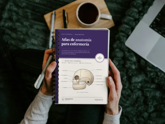 Atlas de anatomía para enfermería, versión impresa: anillas