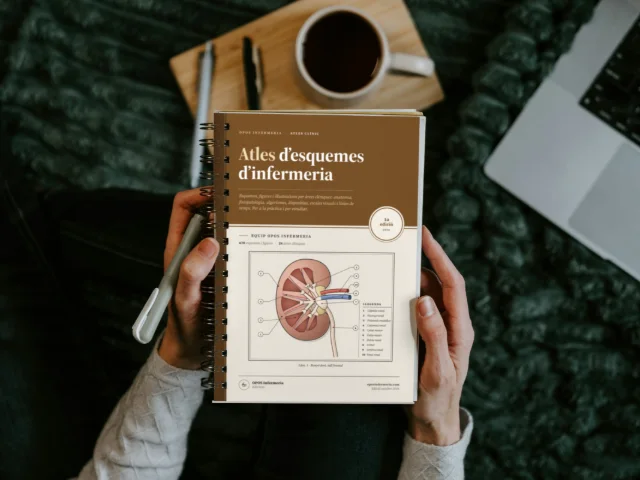 Atles d'esquemes d'infermeria, versió impresa: anelles