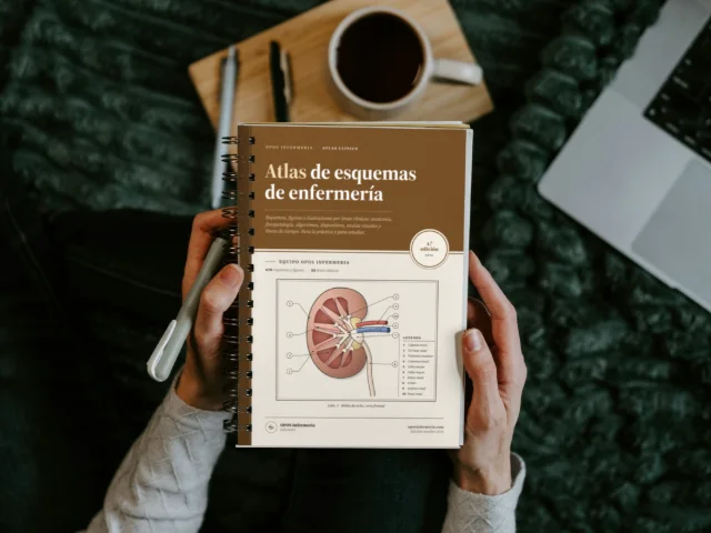 Atlas de esquemas de enfermería, versión impresa: anillas