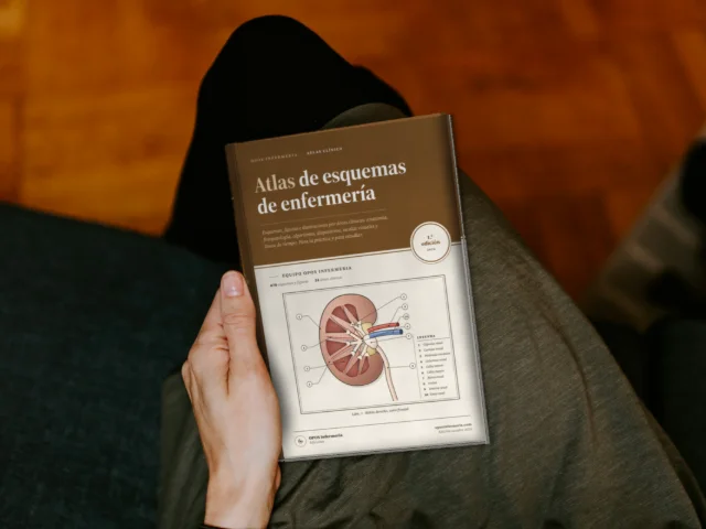 Atlas de esquemas de enfermería, versión impresa: tapa dura
