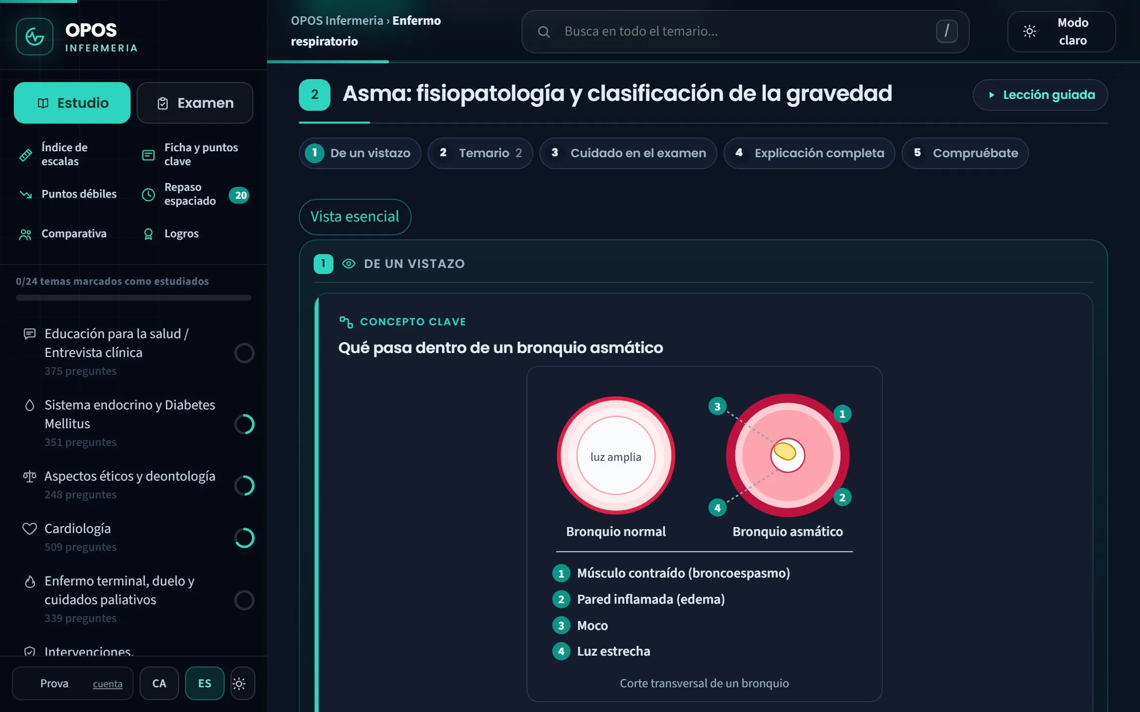 Apartat del temari de Respiratori amb l'esquema del bronqui asmàtic