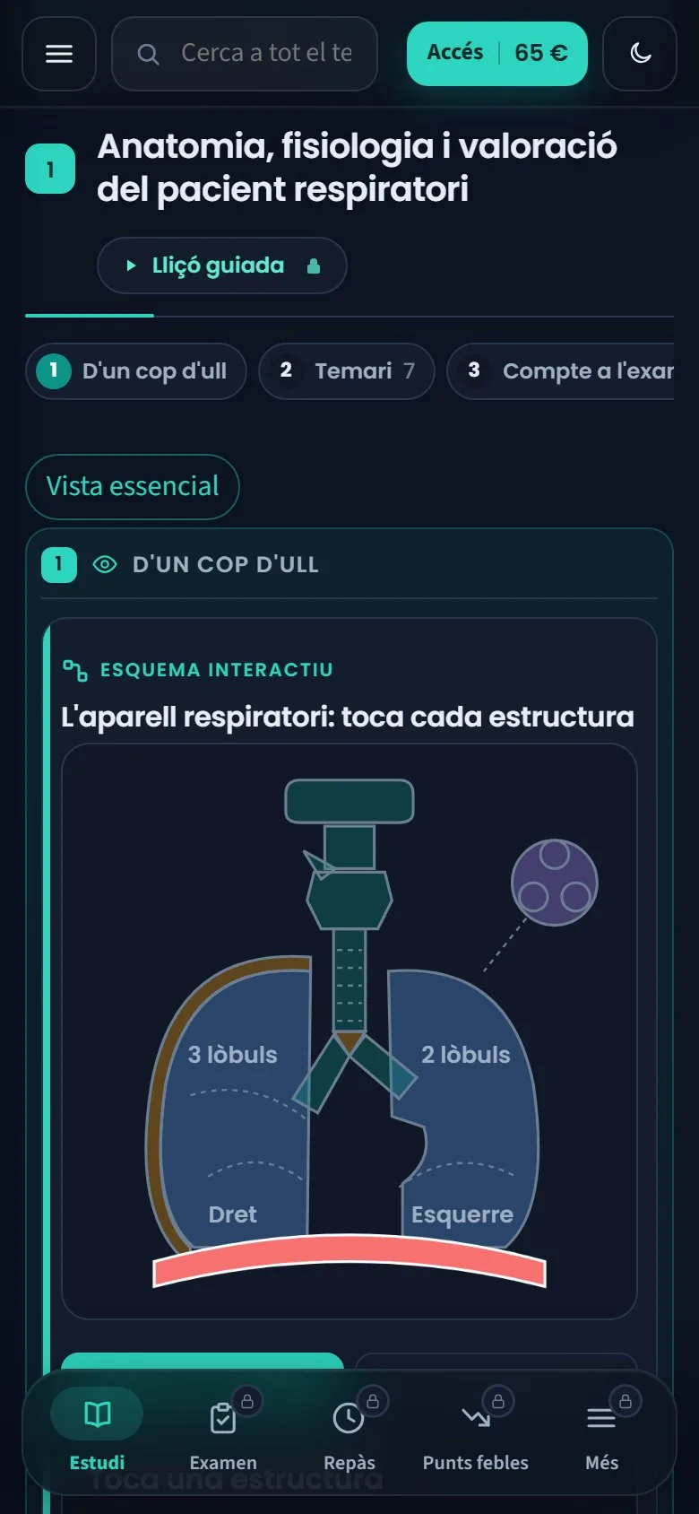 La prova gratuïta al mòbil: l'esquema interactiu de l'aparell respiratori